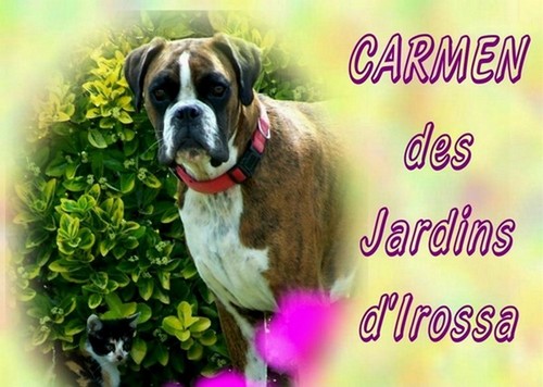 Carmen des Jardins d'Irossa