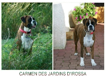 Carmen des Jardins d'Irossa